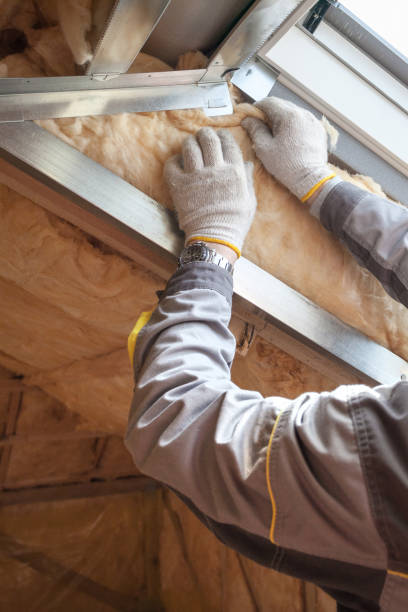 Best Home Insulation Services  in Middleton, WI